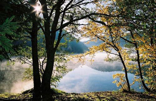 Gîte Le Clos des Vosges - Foto 45