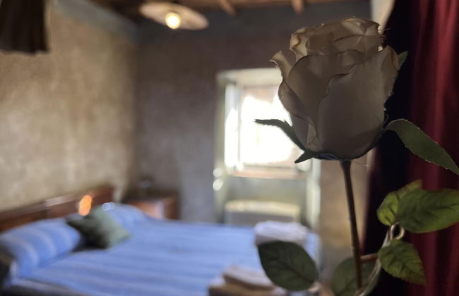 Preta Nera Van Gogh in Giuliano di Roma - Foto 4