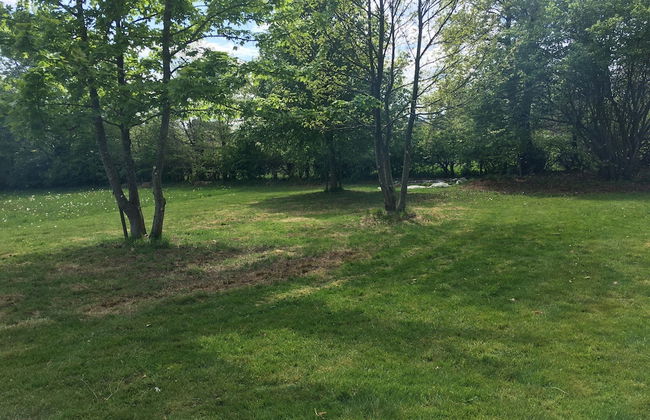 Holiday Home With Sauna in Sourbrodt - Photo 30