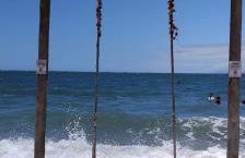 Refugio Namastê - Sheila - Foto 45