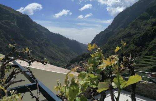 Green Valley House Madeira - Foto 6