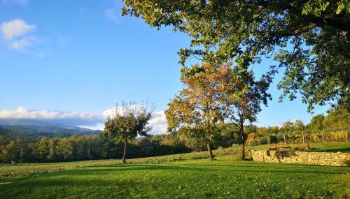 Palazzolo Resort - Anghiari - Foto 3, Garden view