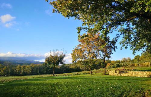 Palazzolo Resort - Anghiari - Foto 3