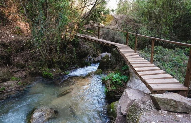 Forest Hideaway Near Douro Valley - Foto 31