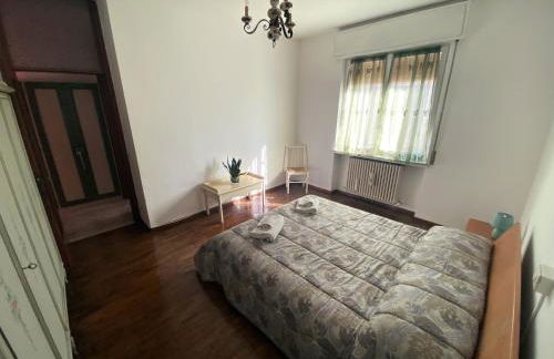 Flat Seriate - Photo 36