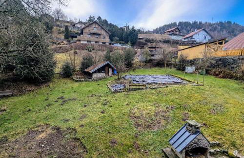 Hêtre pourpre - Foto 9