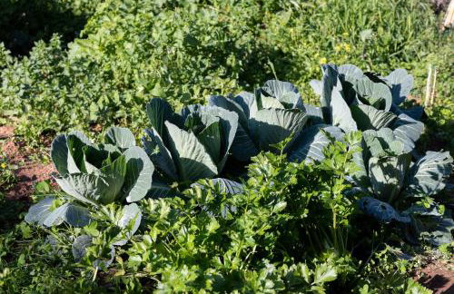 Villa KATHERINA G - Foto 36