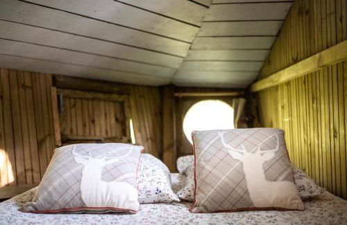 Dihan Evasion - Foto 64