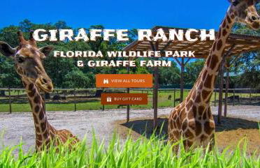 Cozy 2 Bedroom home, Dade City! #1 - Foto 38