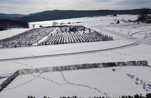 Ferienwohnung Haus Weitblick - Foto 39
