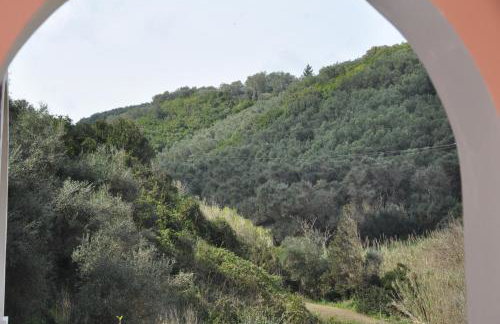 Villa Eleftheria - Foto 26