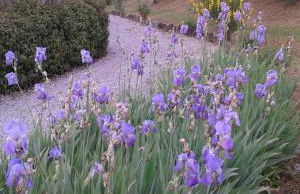 Casa Country House Girasole vakantie huis-WAKACJE HUIS - Foto 55