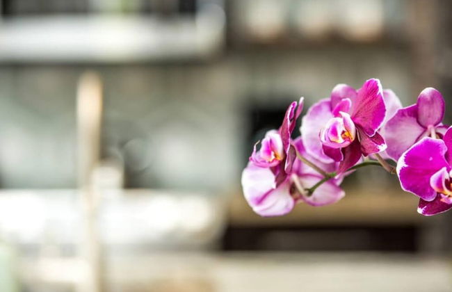 80 LEX 202 Iconic Location Park Free Off Street - Foto 21