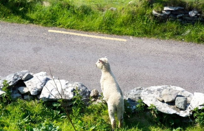 Atlantic Rest Stunning Vistas of the Skelligs - Foto 27