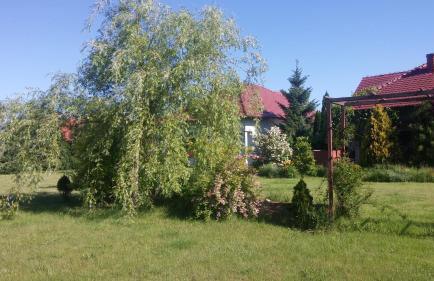 Apartamenty Zielona Góra - Foto 66