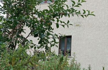 CASA DOS GRILOS - Foto 47