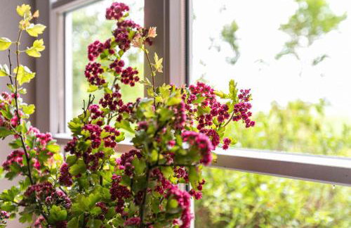 Ferienhaus Landleben und Meer - Foto 32