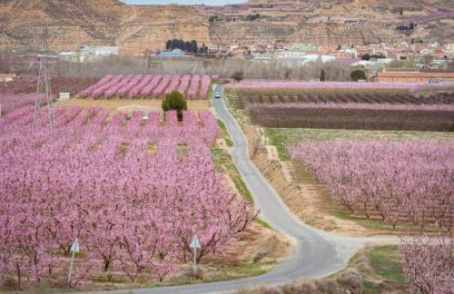 Holiday Home Fraga with Private Pool - Foto 32