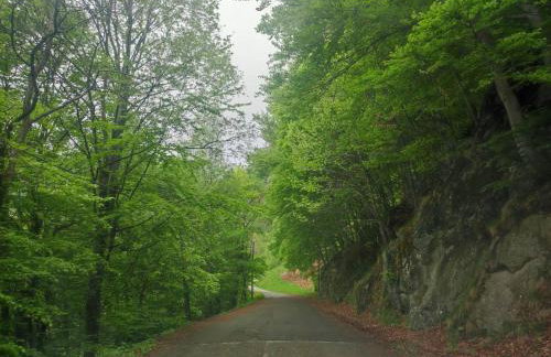 Casa di Viu' - Foto 21