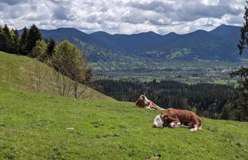 Ferienwohnung MonSevi - Foto 14