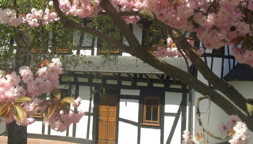 Ferienhaus Schmitt - Foto 3