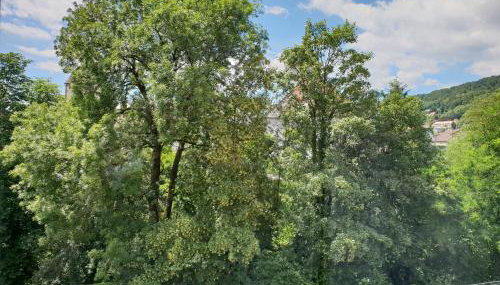 Waldshut-Zentrum - Foto 5