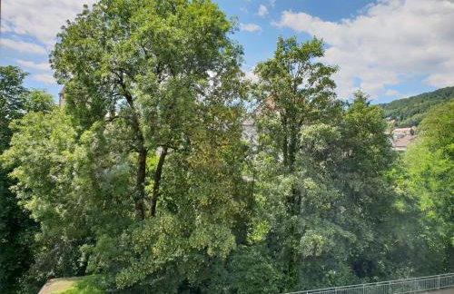 Waldshut-Zentrum - Foto 5