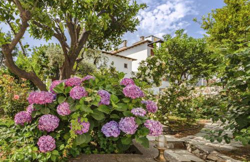 Aeolos Hotel & Villas - Pelion - Foto 51