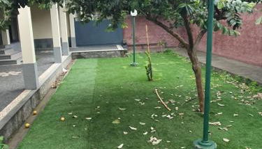 Casa do Moinho - TABUA - Photo 3, Garden