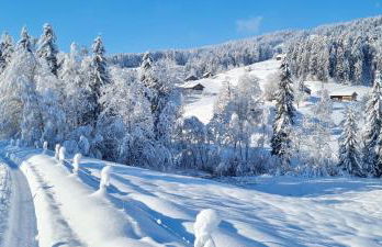 Landhaus Eibelesee - Foto 57