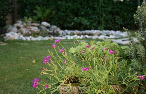 Alle Falesie - Foto 15