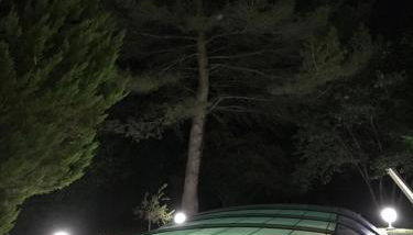 La Diguinerie - Foto 3