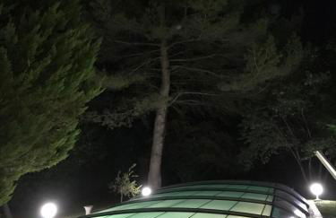 La Diguinerie - Foto 3