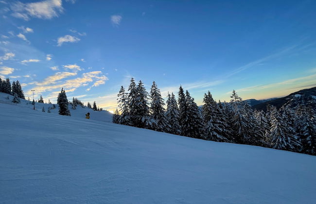 Chalet Hirschbach - Photo 72