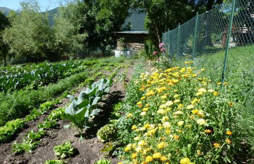 Agriturismo Barba Gust - Foto 37