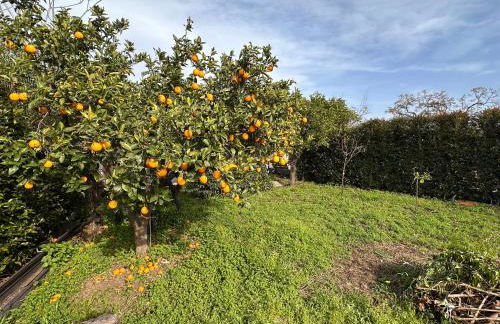 La Casetta di Lollò - Foto 53