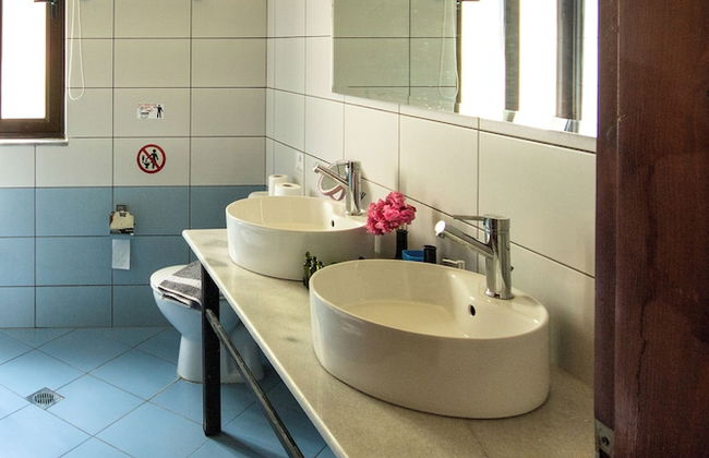 Olive Farm - Foto 30