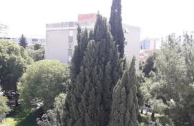 Apartament ANKICA - Photo 13