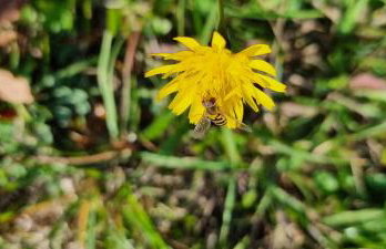 Chalet Vito - Where Luxury Meets Tranquility - Foto 27