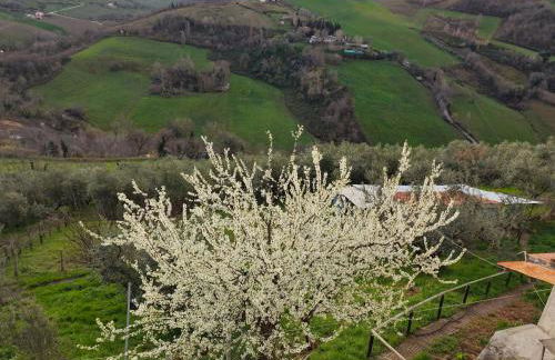 CASA DORIS Montecarotto, Le Marche - Top Lage, Glasfaser WIFI, neu renoviert - Foto 21
