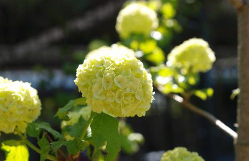 Apartment Talarowa Delux - Foto 22