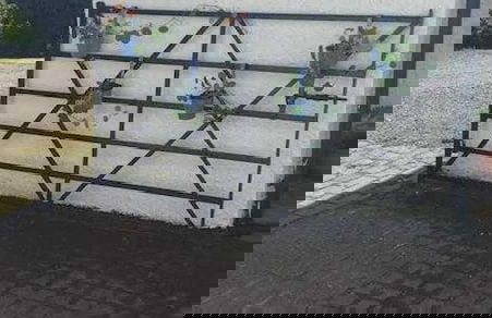 Cottage in Kilmun, Argyll - 2 Bedrooms, Sleeps 2 - Foto 16