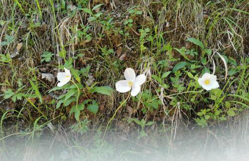 Im Herzen des Kraichgaus 2 - Foto 44