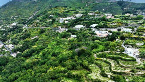 Villa Gesualda - Foto 2