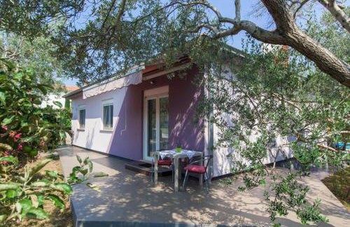 House Pelini - Foto 8