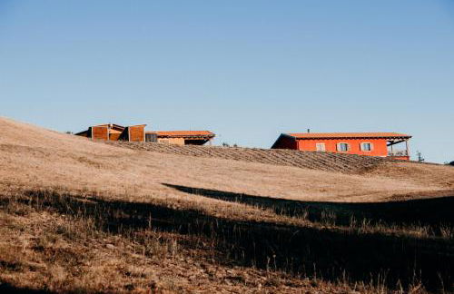 Azienda Agricola Saint Hubert - Foto 71