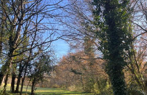 Blue Horizons Farm - Countryside Gîte - Pet Friendly - Sleeps 8 - Foto 14