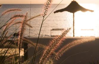 Calitro Mare - Foto 24