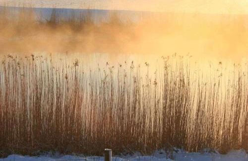 Deichhasenhof Comfortable holiday residence - Foto 32