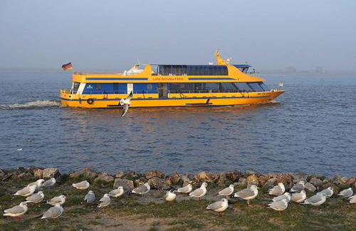 Ferienwohnung Rudis Obstgarten - Foto 19